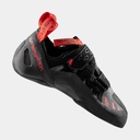 Tarantula Boulder Metal / Sunset