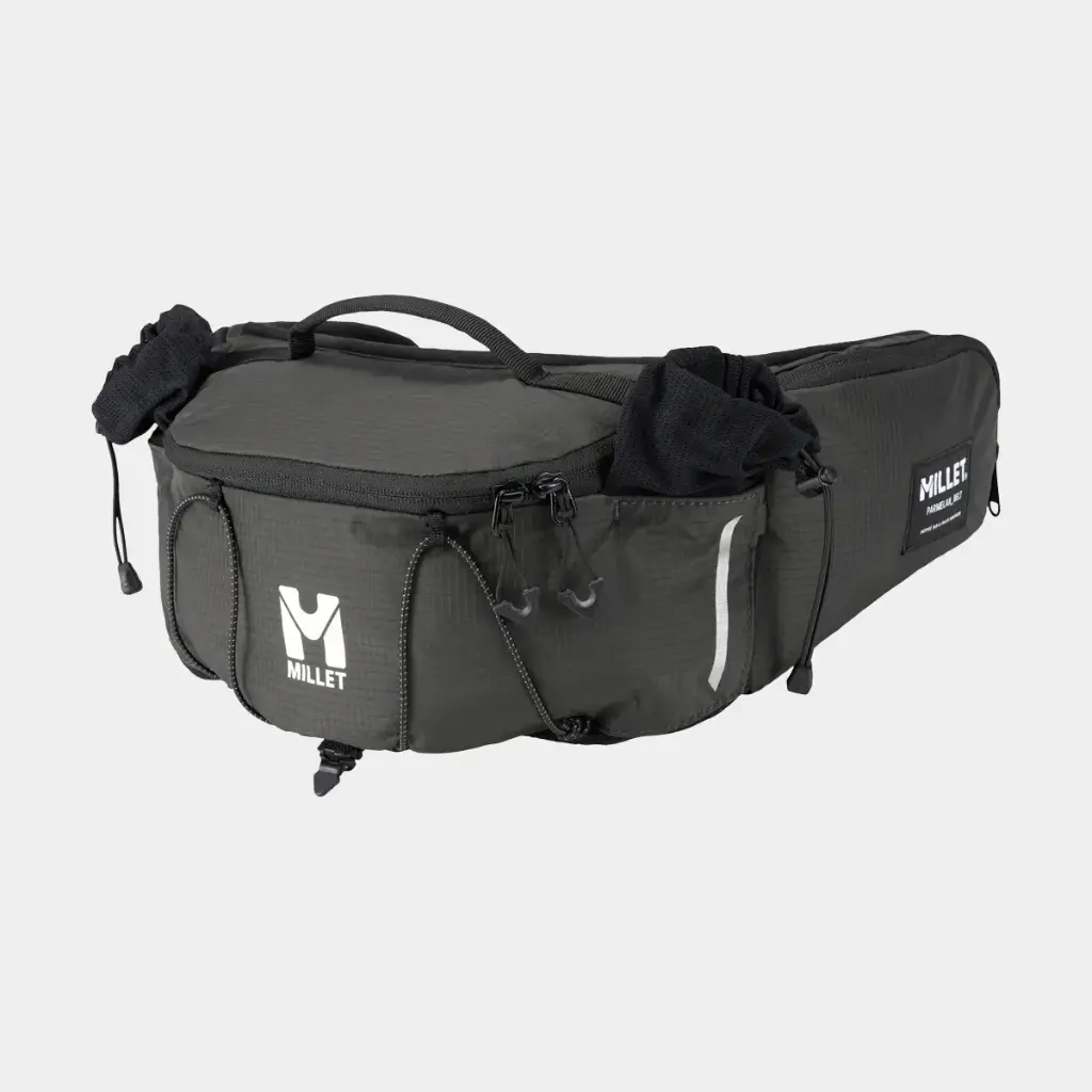 Parmelan Belt Back