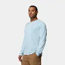 Alpine Chill Pro Long Sleeves Crew II Marine Light