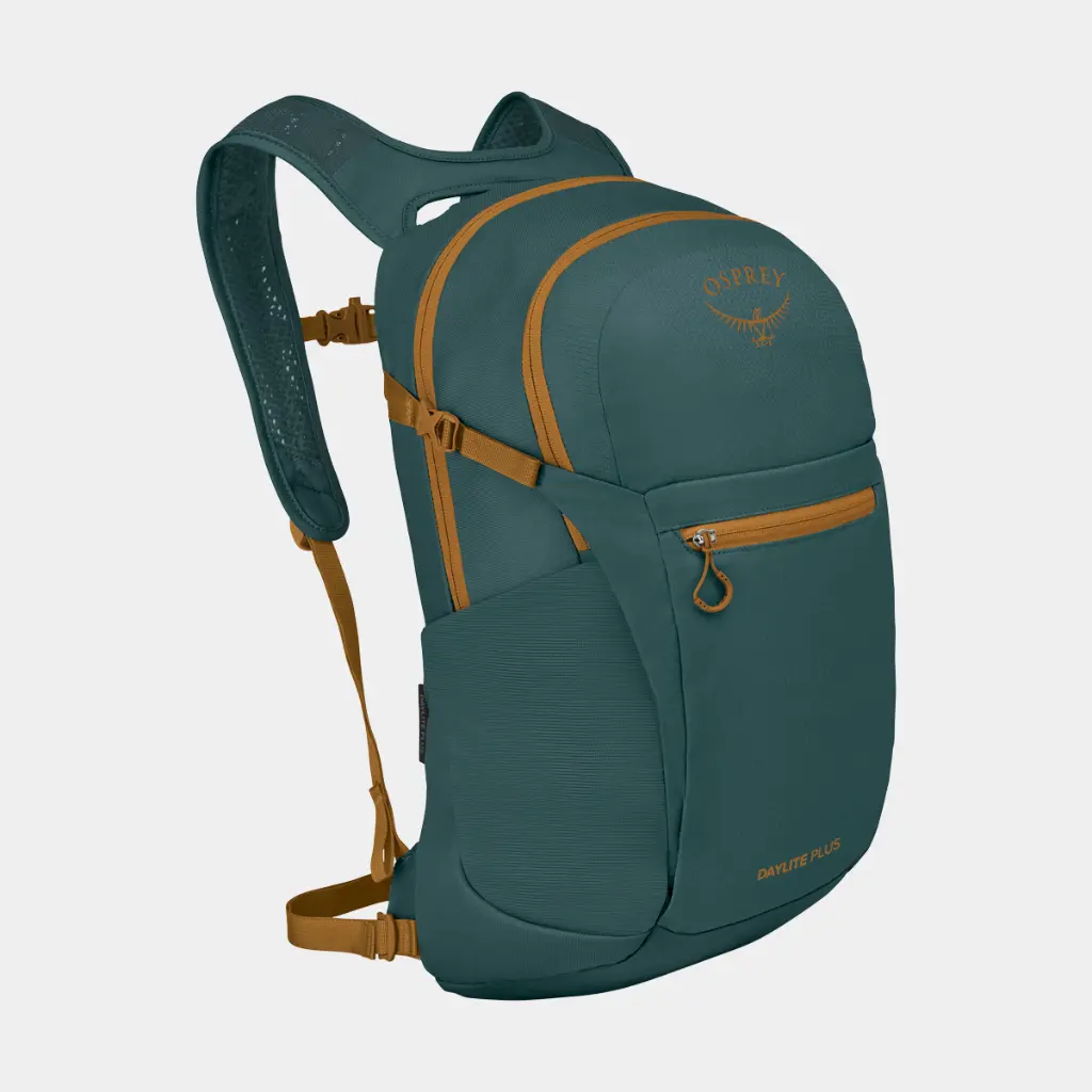 Daylite Plus Torrent Blue