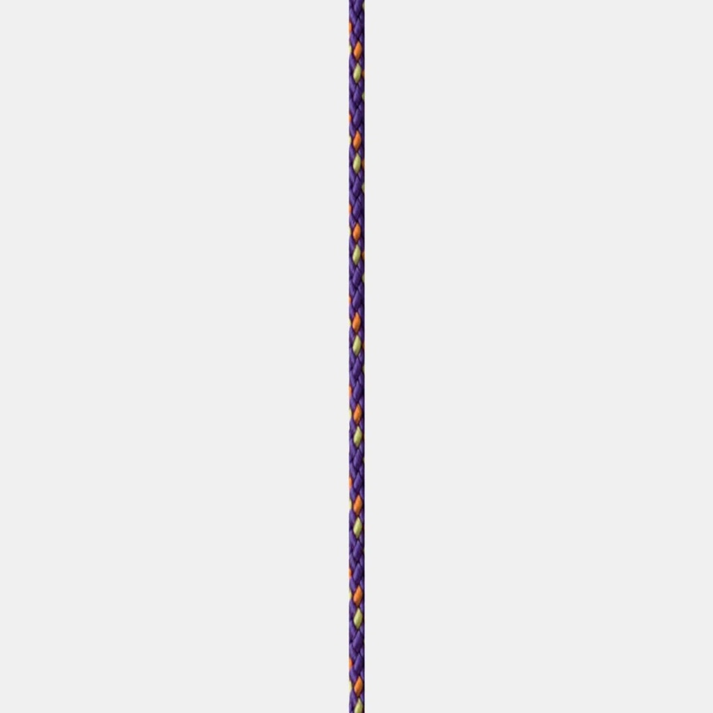 Cordelette Beal 2mm au mètre Violet