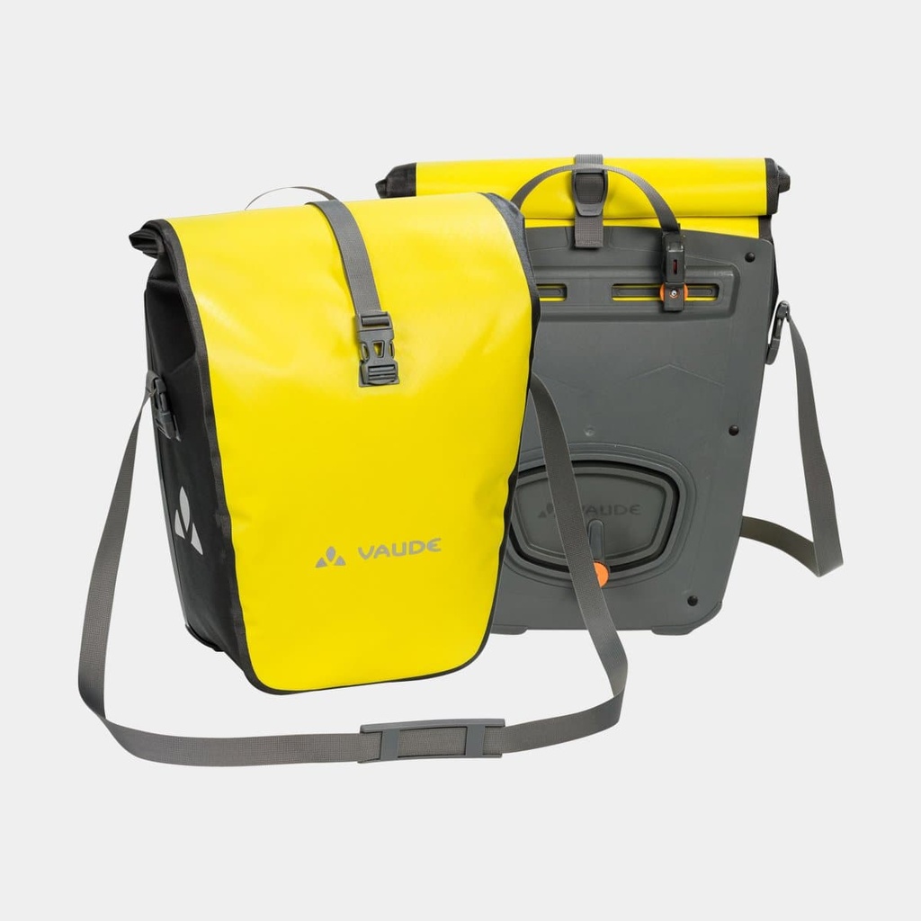 Aqua Back Canary