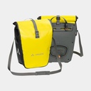 Aqua Back Canary