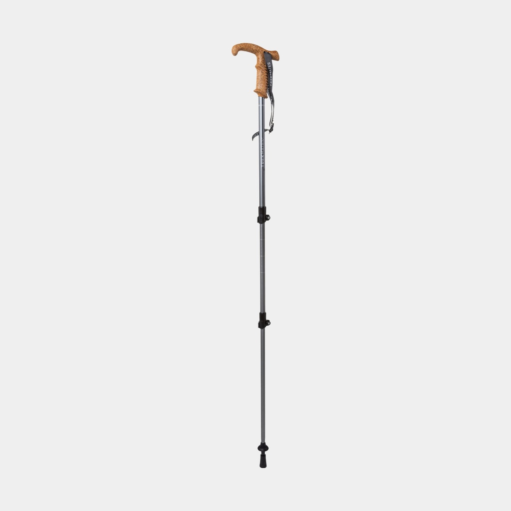 Wanderer Lock Pole (2025) Asphalt