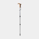 Wanderer Lock Pole (2025) Asphalt