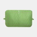 Trailhead Pillow Lichen Forest Print