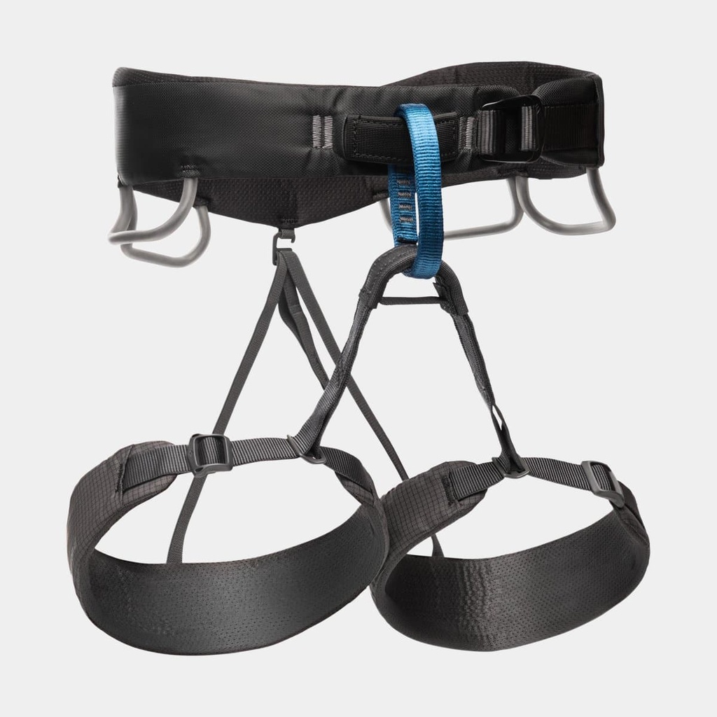 Momentum Harness (2024) Anthracite