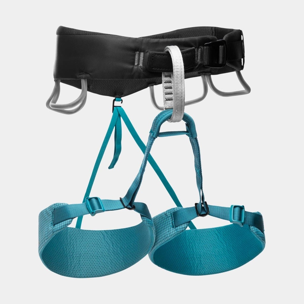Momentum Harness Women (2024) Aqua Verde
