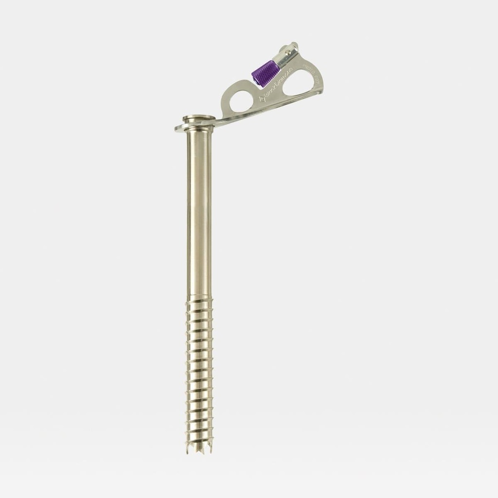 Express Ice Screw 22cm