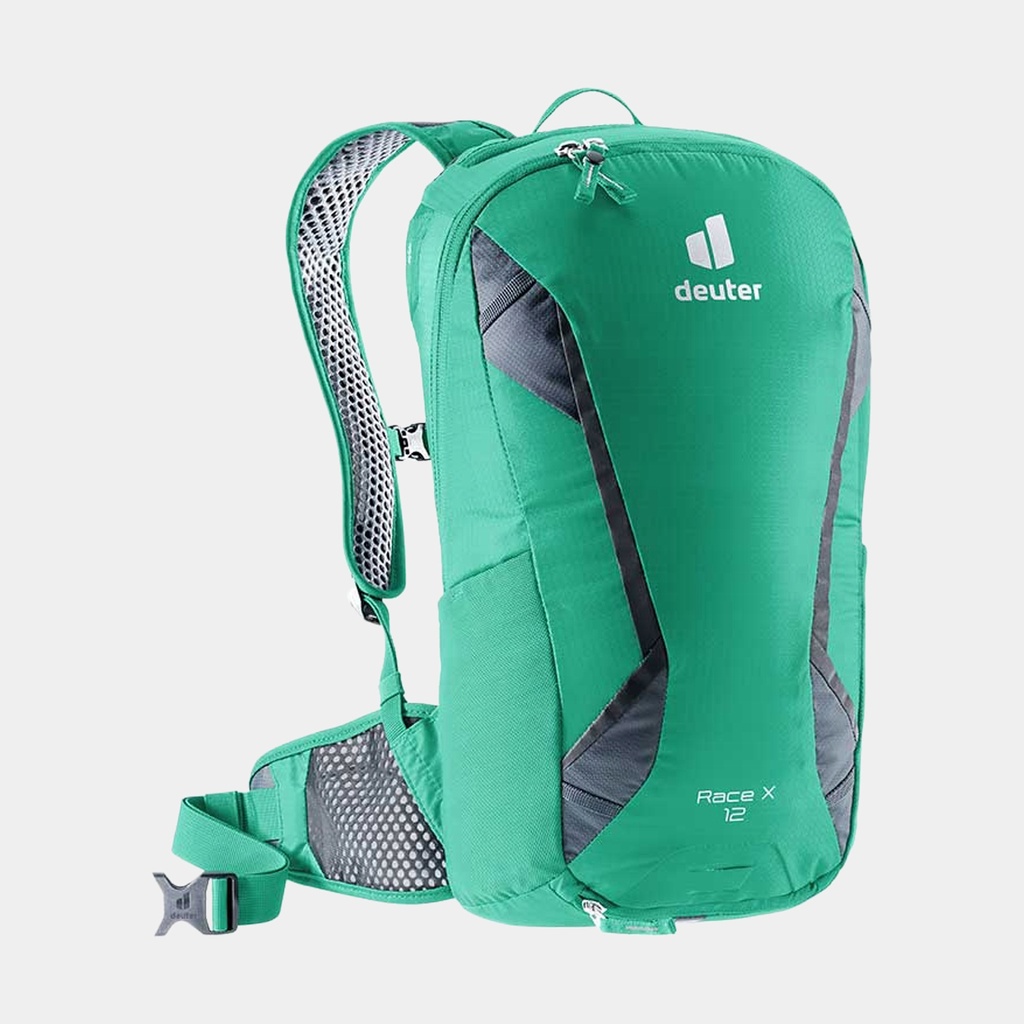 Race X Fern / Graphite