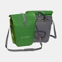 Aqua Back Parrot Green