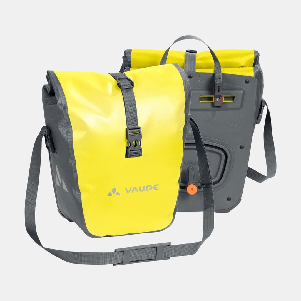 Aqua Front Canary