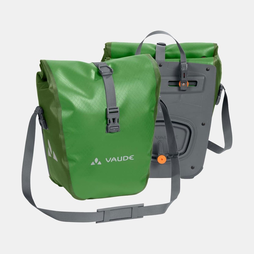 Aqua Front Parrot Green