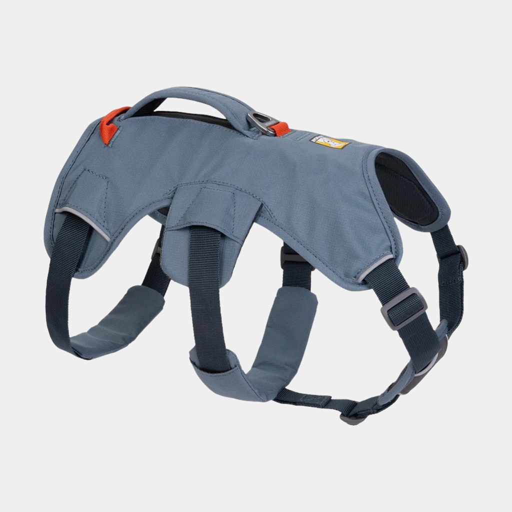 Web Master Harness Slate Blue