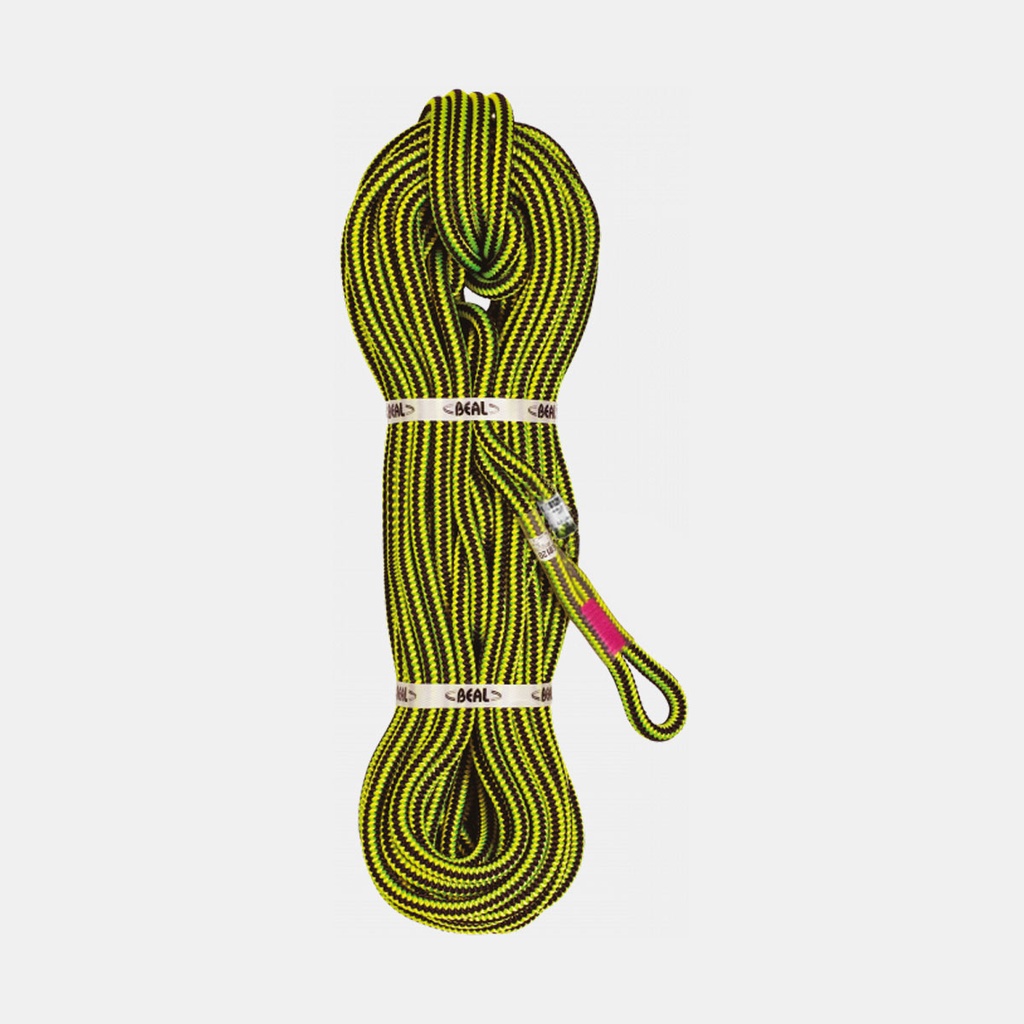 Ginkgo 12mm - 1 épissure