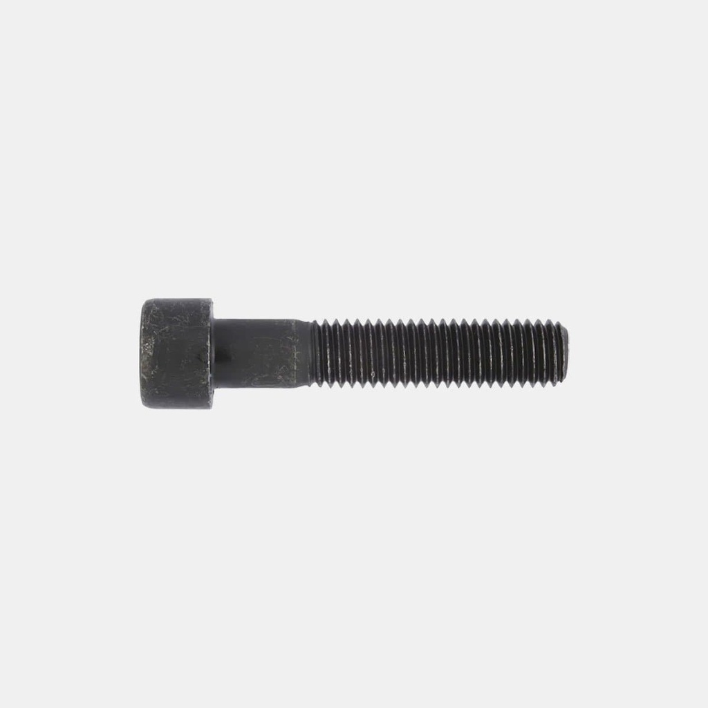 Boulon M10 x 50