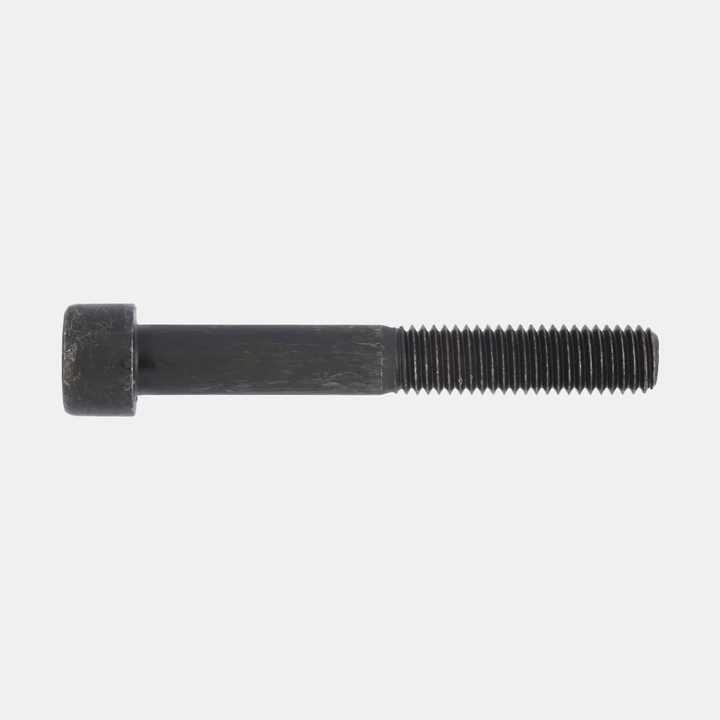 Boulon M10 x 80