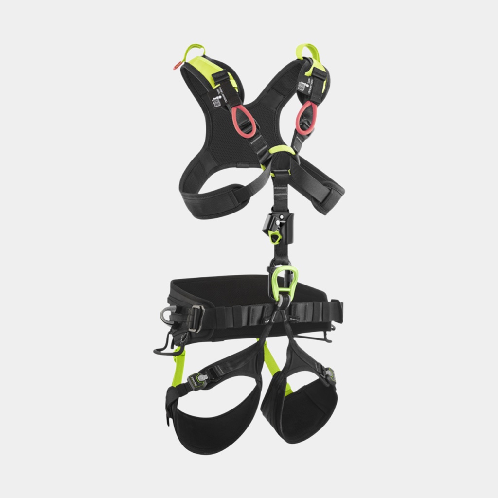 Vector X Night / Oasis