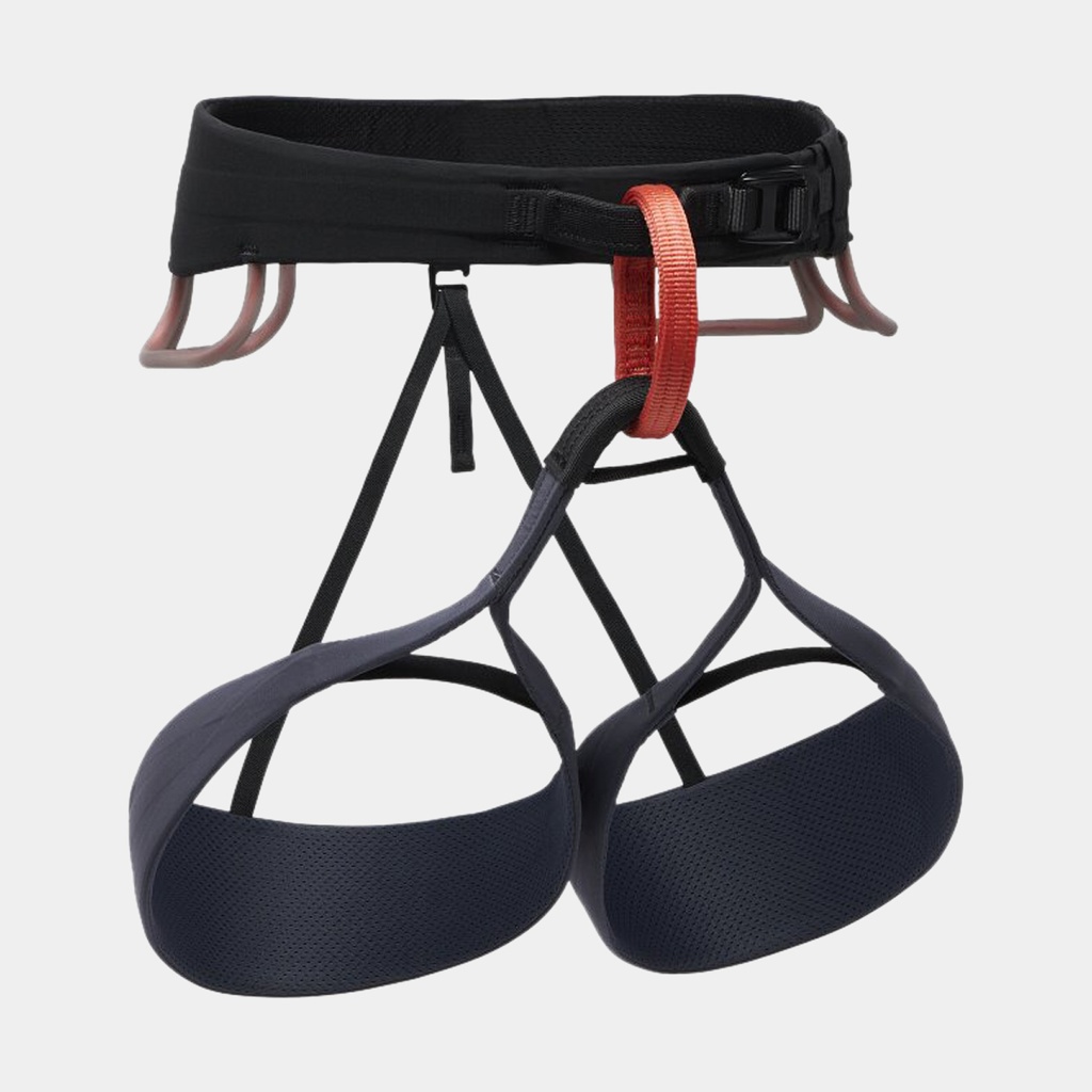 Solution Harness (2025) Carbon