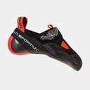 Theory Women (2024) Black / Hibiscus